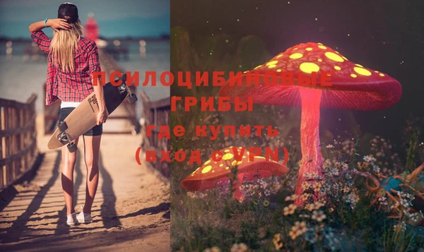 экстази Горняк