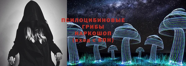 мяу мяу кристалл Гусь-Хрустальный