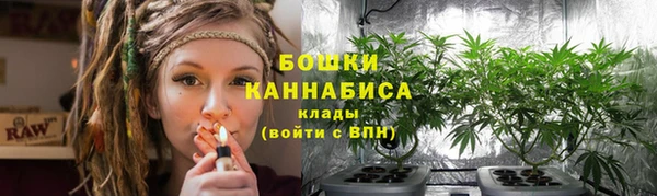 экстази Горняк