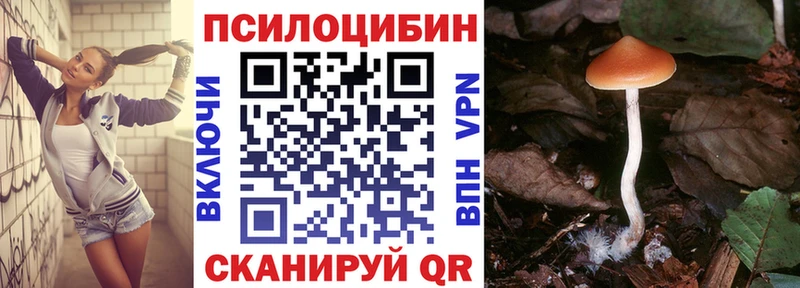 Галлюциногенные грибы Psilocybine cubensis  Купить  Лихославль 